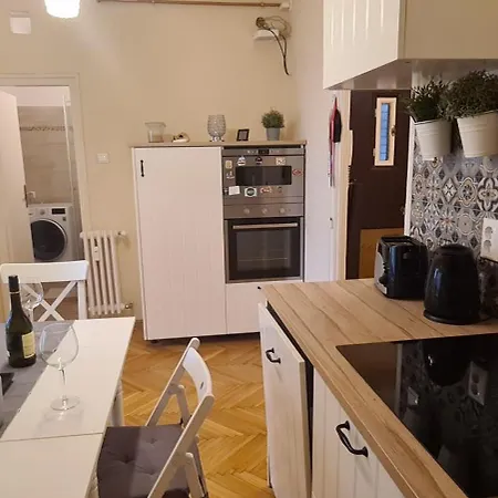 In The Center Of Buda Budapeszt